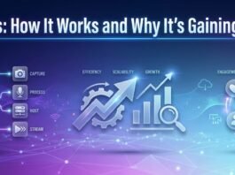 Streemaus How It Works and Why It’s Gaining Attention